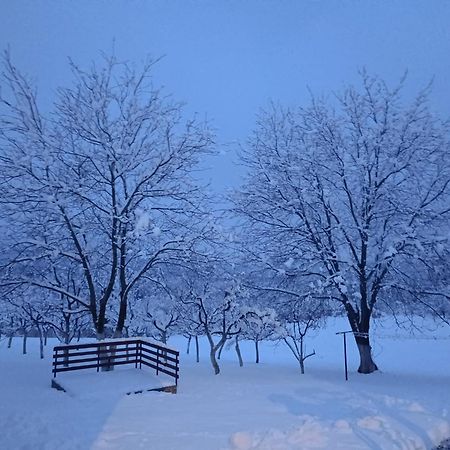 Apartman Plum Plitvice 德雷兹尼克格雷德 外观 照片
