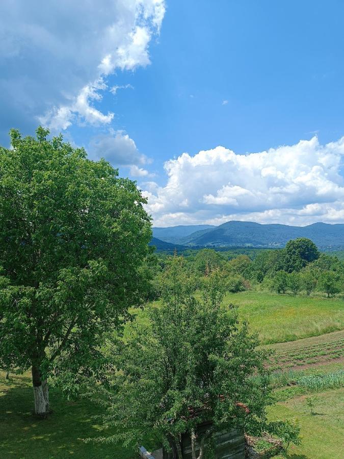 Apartman Plum Plitvice 德雷兹尼克格雷德 外观 照片